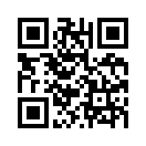 QR CODE 207