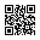 QR CODE 213