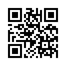 QR CODE 216