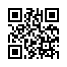 QR CODE 229