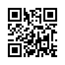 QR CODE 256