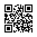 QR CODE 28