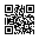 QR CODE 301
