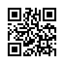 QR CODE 304