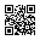 QR CODE 74