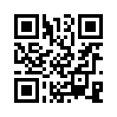QR CODE 133
