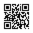 QR CODE 212