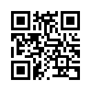 QR CODE 2381
