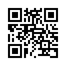 QR CODE 2393