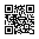 QR CODE 31