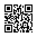 QR CODE 42