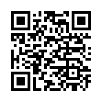 QR CODE 27