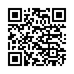 QR CODE 47
