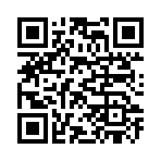 QR CODE 81