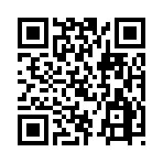 QR CODE 85