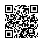 QR CODE 91