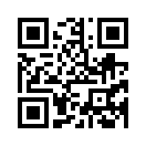 QR CODE 76