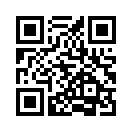 QR CODE 133