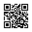 QR CODE 31