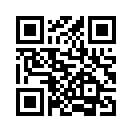 QR CODE 56