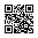 QR CODE 59