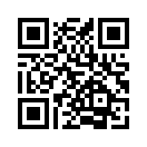QR CODE 93