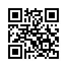 QR CODE 110