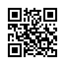 QR CODE 133