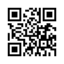 QR CODE 110