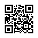QR CODE 133