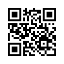 QR CODE 42