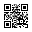 QR CODE 31