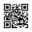 QR CODE 53