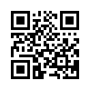 QR CODE 336