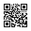 QR CODE 356