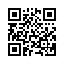 QR CODE 511