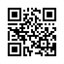 QR CODE 655