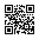 QR CODE 664