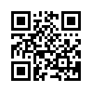 QR CODE 737