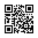 QR CODE 739