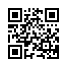 QR CODE 770