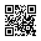 QR CODE 809