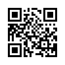 QR CODE 813