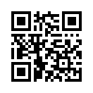 QR CODE 133