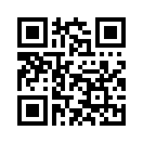 QR CODE 272