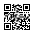 QR CODE 336