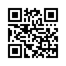 QR CODE 378