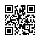 QR CODE 480