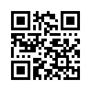 QR CODE 538