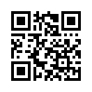 QR CODE 655
